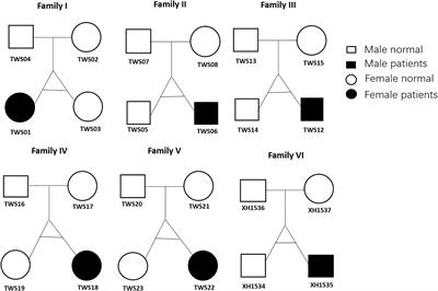 Whole-Exome Sequencing of Discordant Monozygotic Twin Families for Identification of Candidate Genes for Microtia-Atresia